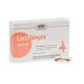Lactobiogen femin plus Kapseln 12.8 g