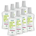 alkmene 8x 500ml Teebaumöl antibakterielle Mundspülung - Mundwasser Konzentrat