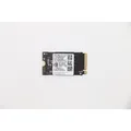 Lenovo SSD M.2 2242 256GB FRU SSD (256 GB, M.2 2242) (00UP747)