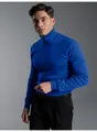 Trigema Rollkragenshirt TRIGEMA Langarm Ski- und Sport-Rollkragenpullover (1-tlg)