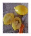 Stk - 15x Zitronen Tomaten Garten Gemüse Pflanzen - Samen A114 - Seeds & Plants Shop by Ipsa
