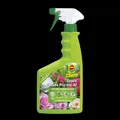 COMPO Duaxo Rosen Pilz-frei - Rosenschutz Anwendungsfertiges Mittel, 750ml