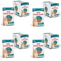 ROYAL CANIN AGEING 15+ Gravy | 4er Pack | 4 x 12 x 85 g | Nassfutter für Katzen ab dem 15. Lebensjahr | Stückchen in Soße