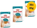 Royal Canin Feline Ageing 15+ in Soße | 36x 85g Sparpack