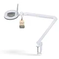Lumeno 8613GR Lupenleuchte Arbeitsplatzlampe mit großer ovalen Linse 110x150 mm, 60 LEDs in 2 Stufen dimmbar, perfekt als Lesehilfe, für die Kosmetik oder zum Löten, 3 Dioptrien grau