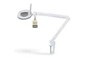 Lumeno Lupenlampe 861XGR Lupenleuchte Lupenlampe mit ovaler Echtglaslinse kristallklar, LED fest integriert, Kaltweiß, 6500 K