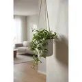 finestgreen Blumenampel Hanging Charlie, Frostfest & UV-beständig – für Innen- und Außenbereich grau Ø 10.6 cm x 10.0 cm