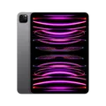 Apple iPad Pro 11" (2022) 256GB WiFi Space Grau *TOP* MwSt nicht ausweisbar