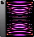 iPad Pro 2022 (M2) 11" WIFI 256GB | Batt. 94% I spacegrey I GUT I 19% MwSt.