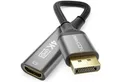 deleyCON deleyCON DisplayPort HDMI Adapter 4K60Hz, WQHD165Hz für Video-Kabel