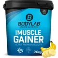 Pure Muscle Gainer - 2000g - Banane