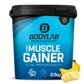 Pure Muscle Gainer - 2000g - Banane