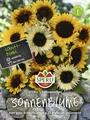 Sonnenblume Schnittblumen-Mischung F1 tiefgelbe farbe mittelhoch rosbust