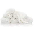 Prince Lionheart, 9400 Warmies wiederverwendbare Bamboo Tücher, Wit count