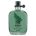 Avon Scent GREEN FOUGÈR Herren Parfum Eau de Toilette holziger Duft 30ml