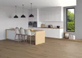 SPC Strong Variant Bodenbelag  Glacier Oak
