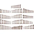AK Interactive HUMAN BONES - BASING BITS 120 pieces (AKBIT0013)