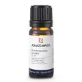 Naissance Afrikanisches Weihrauchöl (Nr. 129) - 10ml - Boswellia Carteri - 100% Naturreines Weihrauch Ätherisches Öl für Naturkosmetik, Aromatherapie, Duftlampe - Duftöl für Aroma Diffuser