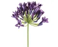 Kunstblume Agapanthus Kunstblumen Lila Schmucklilien 75cm 2St Dekoblumen, 2 Stück, Viana, Höhe 11 cm