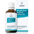 Bryophyllum Argento Cultum Dilution D2