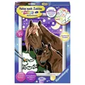 Malen nach Zahlen Pferde Horse Wandbild Malset Pinsel Malvoralge Holzrahmen
