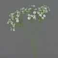 artplants Dekozweig Schleierkraut SIKINOS, weiß, 65cm