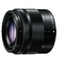 Lumix H-FS35100E