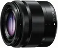 Panasonic LUMIX G Vario 35-100mm F4.0-F5.6 Asph. MEGA OIS SLR Telezoom-Objektiv Schwarz
