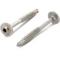 Tellerkopfschraube 8,0 x 180/80 mit ETA Zulassung