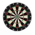 Precise180 - Dartboard Endorphine - Gunmetal - Premium Dartboard mit One Piece Zahlenring - 18 Farben - Dartscheibe Nummernring - Dartzubehör