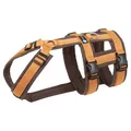 Annyx Brustgeschirr Safety Fun - Bernstein XS