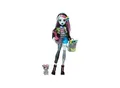 Mattel HXH73 - Monster High - Frankie Stein-Puppe