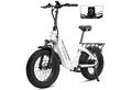 Vankel E-Bike Klapprad F6 E-MTB, 20x4 Zoll Fatbike für Schnee, klapprad 36V 25Ah Akku, 7 Gang Shimano, Kettenschaltung, Heckmotor, 900 Wh, (mit Akku-Ladegerät), Elektrofahrrad mit hydraulischen Scheibenbremse, Reichweite 100km