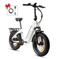 F6 20 Zoll E-Fatbike Elektrofahrrad 250W 36V 25Ah Shimano 7-Gang Klapprad Weiß