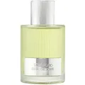 Tom Ford Beau de Jour Eau de Parfum, 100 ml