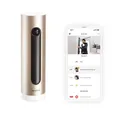 Netatmo NSC01-AMZ Innenüberwachungskamera Gold/Schwarz