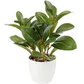 Briful Künstliche Zimmerpflanze Kamelie Kunstpflanze Camellia Japonica im Kunststofftopf Dekorative Seidenblumen Kamelie Kunstblumen für Home Hotel Dekoration