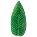 Costa Nova Schale Riviera, Grün, Keramik, Blatt, 40x4x17 cm, Handmade in Europe, Essen & Trinken, Geschirr, Schalen & Schüsseln, Schalen