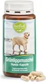 Sanct Bernhard Grünlippmuschel Hunde Kapseln- 150 Kapseln