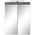 Spiegelschrank WELLTIME "Avena", grau (grau matt, grau hochglanz), B:60cm H:77cm T:17cm, Schränke, Badezimmerschrank wahlweise mit Aufsatzleuchte - (B/T/H) 60/17/77 cm
