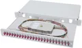 DIGITUS Ausziehbare Glasfaser - Spleissbox 1U Equipped 24xLC duplex inkl. M 25 Schraube Spleisskasse