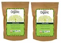 Radico Amla-Fruchtpulver 2er-Pack (2 x 100g) Emblica Officinalis (bio, vegan) x2