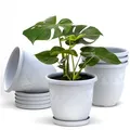 Plastard Pflanzkübel 3er, 5er, 10er Sets, Blumentopf mit passenden Untersetzer 15 - 40 cm (5 St., Blumenkübel ist Witterungs-, frost- und UV-beständig) weiß Ø 21 cm