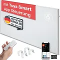 Heidenfeld Infrarotheizung HF-HP140 | Bis 15 m2 - Heizkörper - Heizpaneel - Infrarot - App Steuerung - Touch Bedienfeld - Kindersicherung (500 Watt) - Grau