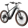 Agon Alpha E Bike Mountainbike dunkelgrau - Dunkelgrau