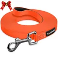Looxmeer Wasserdicht Schleppleine für Hunde, 10m Biothane Hundeleine mit Robusterem Karabiner, Wasserfest Laufleine für Große bis Kleine Hunde, Reißfeste Trainingsleine für Training Rückruf & Freilauf