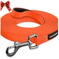 Wasserdichte Hundeleine 10m Biothane Karabiner Freilauf