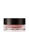 ANNEMARIE BÖRLIND COOLING Cream Blush Rouge 8 ml 01