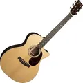 Martin Guitar GPC-16E-01