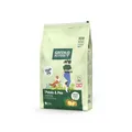 Green Petfood Dog Potato & Pea 10 kg